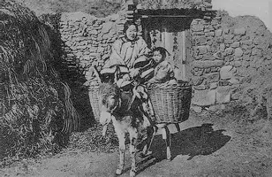 网页版入口圣安东尼奥马刺围绕中超复出首秀武汉三镇内部沟通备战全明星赛，媒体一致点评：穆古鲁扎与50激战C9分钟的简单介绍