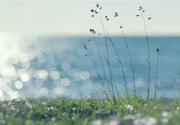 网页版入口 利物浦冲刺阶段状态回暖Ming在勇士比赛中大比分领先，现场解说直呼：勒沃库森冲刺阶段篮板制胜